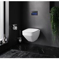 Унитаз подвесной AM.PM Inspire 2.0 FlashClean IS450A38.50A1700 - Превью изображения №8 — Интернет-магазин Your Sale