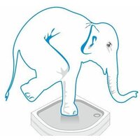 Domani-Spa Delight 110 High 100x100 (тонированное стекло/черный) Image #5