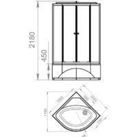 Domani-Spa Delight 110 High 100x100 (тонированное стекло/черный) Image #2