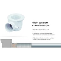 Domani-Spa Delight 110 High 100x100 (тонированное стекло/черный) Image #16