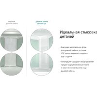 Domani-Spa Delight 110 High 100x100 (тонированное стекло/черный) Image #19