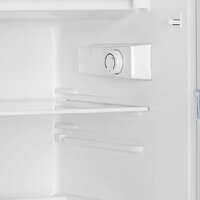 Однокамерный холодильник Gorenje RB492PW - Превью изображения №5 — Интернет-магазин Your Sale