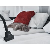 Пылесос Hoover TXL20PET 011 - Превью изображения №9 — Интернет-магазин Your Sale