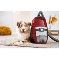 Miele Blizzard CX1 Cat & Dog PowerLine SKCF3 Image #7