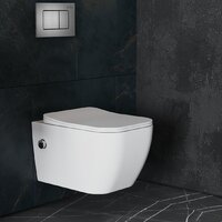 Roxen Cube Bidet One Rimless 6 в 1 StounFix Dual Fresh 623444 (оружейная сталь/металл) Image #12
