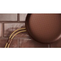 Беспроводная колонка Bang & Olufsen Beosound A1 3rd Gen (rustic red) - Превью изображения №5 — Интернет-магазин Your Sale