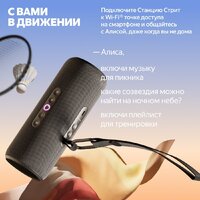 Умная колонка Яндекс Станция Стрит (черный) - Превью изображения №9 — Интернет-магазин Your Sale