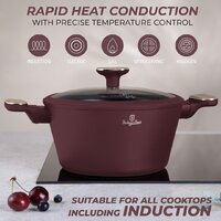 Набор кастрюль Berlinger Haus Leonardo Nordic Collection BH-8306 - Превью изображения №4 — Интернет-магазин Your Sale