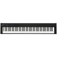 KORG D1 (черный)