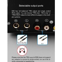 Topping E50 (серебристый) Image #7