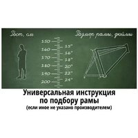 Велосипед Format 1213 29 M 2025 (красный) - Превью изображения №8 — Интернет-магазин Your Sale