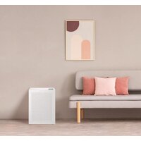 Coway Cartridge AP-1019C Image #5