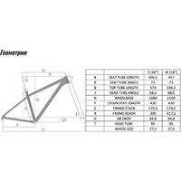 Hagen Queen 10 27.5 S 2025 (шанель желтый) Image #2