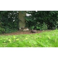 Monitor Audio Climate Garden CLG-W12 Image #5