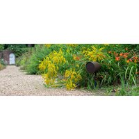 Monitor Audio Climate Garden CLG-W12 Image #6