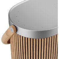 Беспроводная аудиосистема Bang & Olufsen BeoSound A5 (oak) - Превью изображения №8 — Интернет-магазин Your Sale
