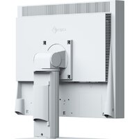 EIZO FlexScan S1934H (серый) Image #3