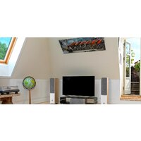 DALI Oberon Vokal White Image #4