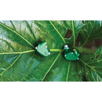 Campfire Audio Andromeda 2019 Image #11