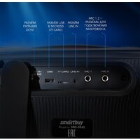 Беспроводная колонка SmartBuy Evolution 2 SBS-5560 - Превью изображения №13 — Интернет-магазин Your Sale