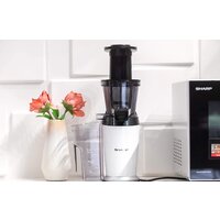 Sharp SA-FJ3001W Image #9