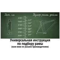 Велосипед Maxiscoo 3bike 24 M 2026 MSC-M3-2422 (коричневый матовый) - Превью изображения №9 — Интернет-магазин Your Sale