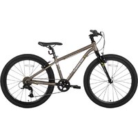 Maxiscoo 3bike 24 M 2026 MSC-M3-2422 (коричневый матовый)