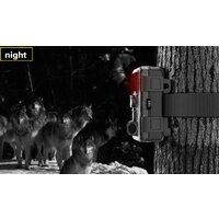 Фотоловушка SJCAM M50 (зеленый) - Превью изображения №5 — Интернет-магазин Your Sale