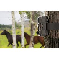 Фотоловушка SJCAM M50 (зеленый) - Превью изображения №8 — Интернет-магазин Your Sale