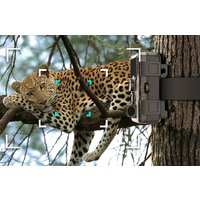 Фотоловушка SJCAM M50 (зеленый) - Превью изображения №11 — Интернет-магазин Your Sale
