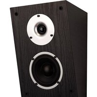 WILSON Raptor X (черный)