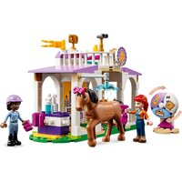 LEGO Friends 41746 Тренировка лошадей Image #3