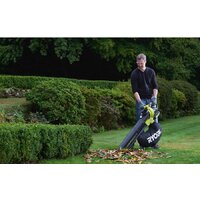 Ryobi RBV36B [5133002524] Image #8