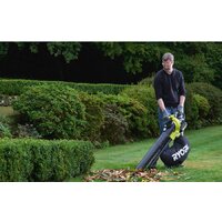 Ryobi RBV36B [5133002524] Image #5