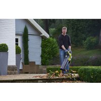 Ryobi RBV36B [5133002524] Image #4