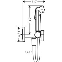 Гигиенический душ Hansgrohe Bidette 1jet S 29232000 - Превью изображения №2 — Интернет-магазин Your Sale