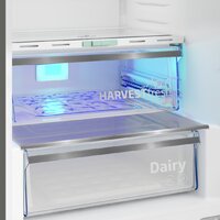 BEKO B5RCNA405ZG Image #8