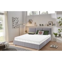 Vegas Хит 5 120x190 Image #4