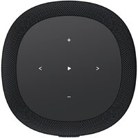 Беспроводная аудиосистема WiiM Sound Lite (черный) - Превью изображения №3 — Интернет-магазин Your Sale