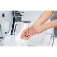 Ravak Classic-CL 011.00 [X070081] Image #4