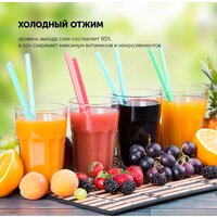Соковыжималка Polaris PSJ 0602 - Превью изображения №17 — Интернет-магазин Your Sale
