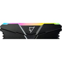 Netac Shadow RGB 16ГБ DDR4 3200 МГц NTSRD4P32SP-16E