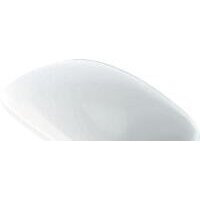 Geberit AquaClean Citterio 500540011 Image #2