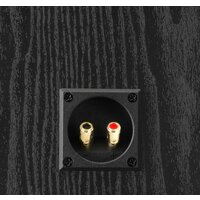 DALI Alteco C-1 (черный) Image #4