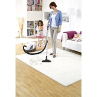 Пылесос Karcher DS 6 Premium Plus 1.195-242.0 - Превью изображения №9 — Интернет-магазин Your Sale