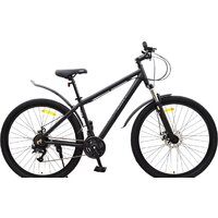 Arena Baxter 29 р.21 2024 (черный матовый, разобранный, в коробке)