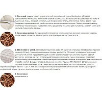 Vegas Trend 180x210 Image #4