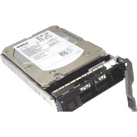 Dell 161-BBRX 8TB