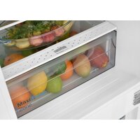 Холодильник Scandilux CFFBI256E - Превью изображения №13 — Интернет-магазин Your Sale