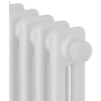 Стальной трубчатый радиатор Royal Thermo Insignia VC2050 - 12 секций RAL9016 - Превью изображения №3 — Интернет-магазин Your Sale